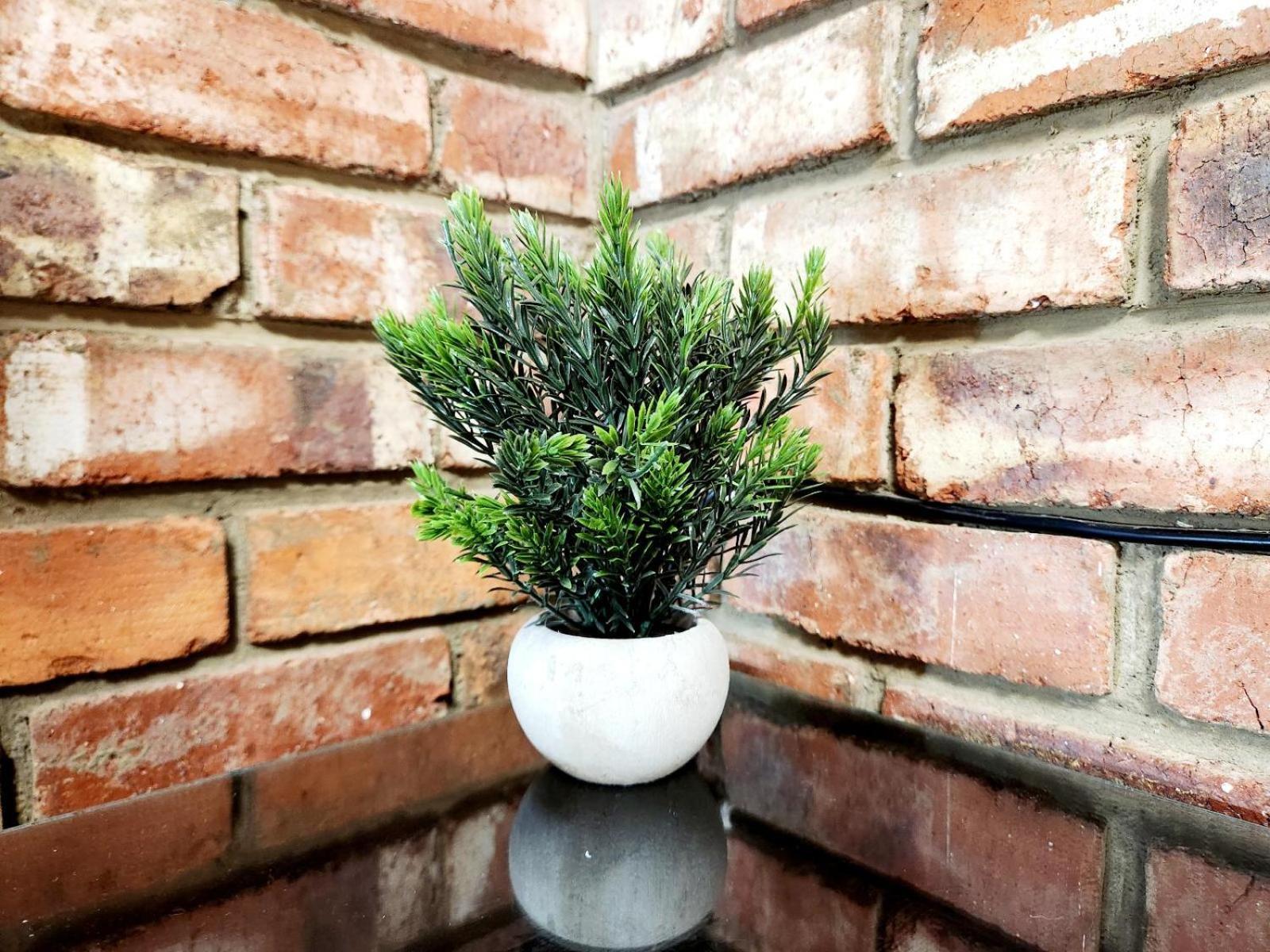 Aloe Guesthouse Klerksdorp Room photo